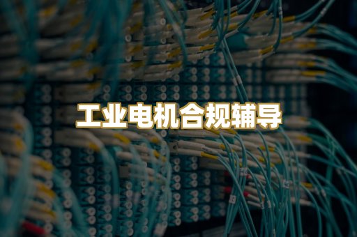 工业电机合规辅导